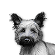 independence_day_2025.png