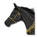 blackfriday_horse.png