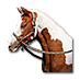 lucille_horse.png