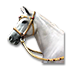 sale_2018_horse_1.png