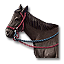gold_rush_horse.png