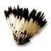 feather_headdress_brown.png