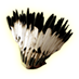 feather_headdress_fine.png