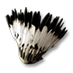 feather_headdress_grey.png