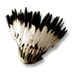 feather_headdress_p1.png