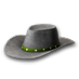 stetson_green.png