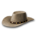 stetson_p1.png
