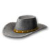 stetson_yellow.png